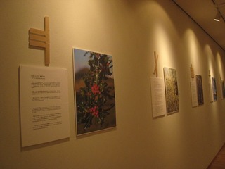 IMG_0001.jpg